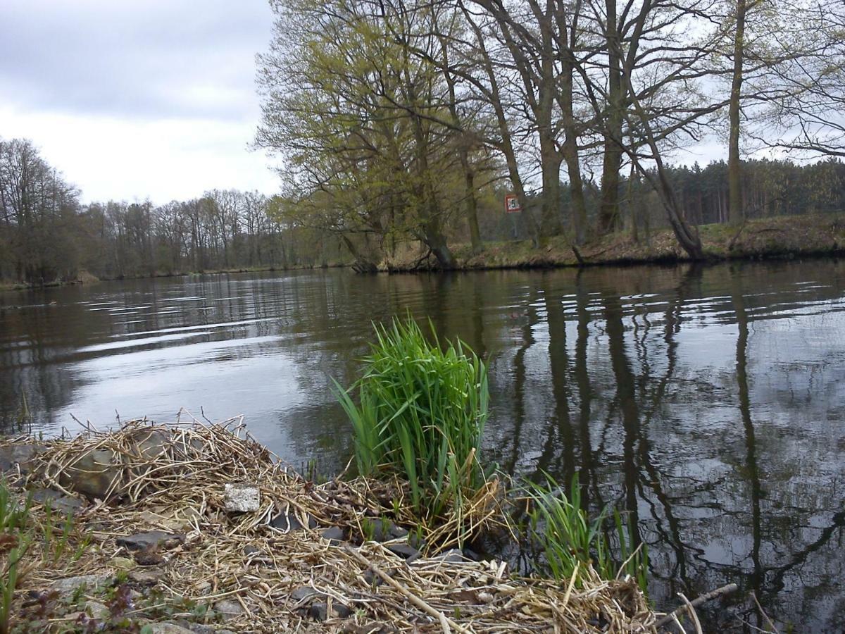 Ferienwohnungen 3 Birken Briesen  Luaran gambar